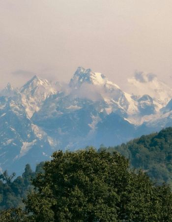 Tour Trekkers makes your journey enjoyable